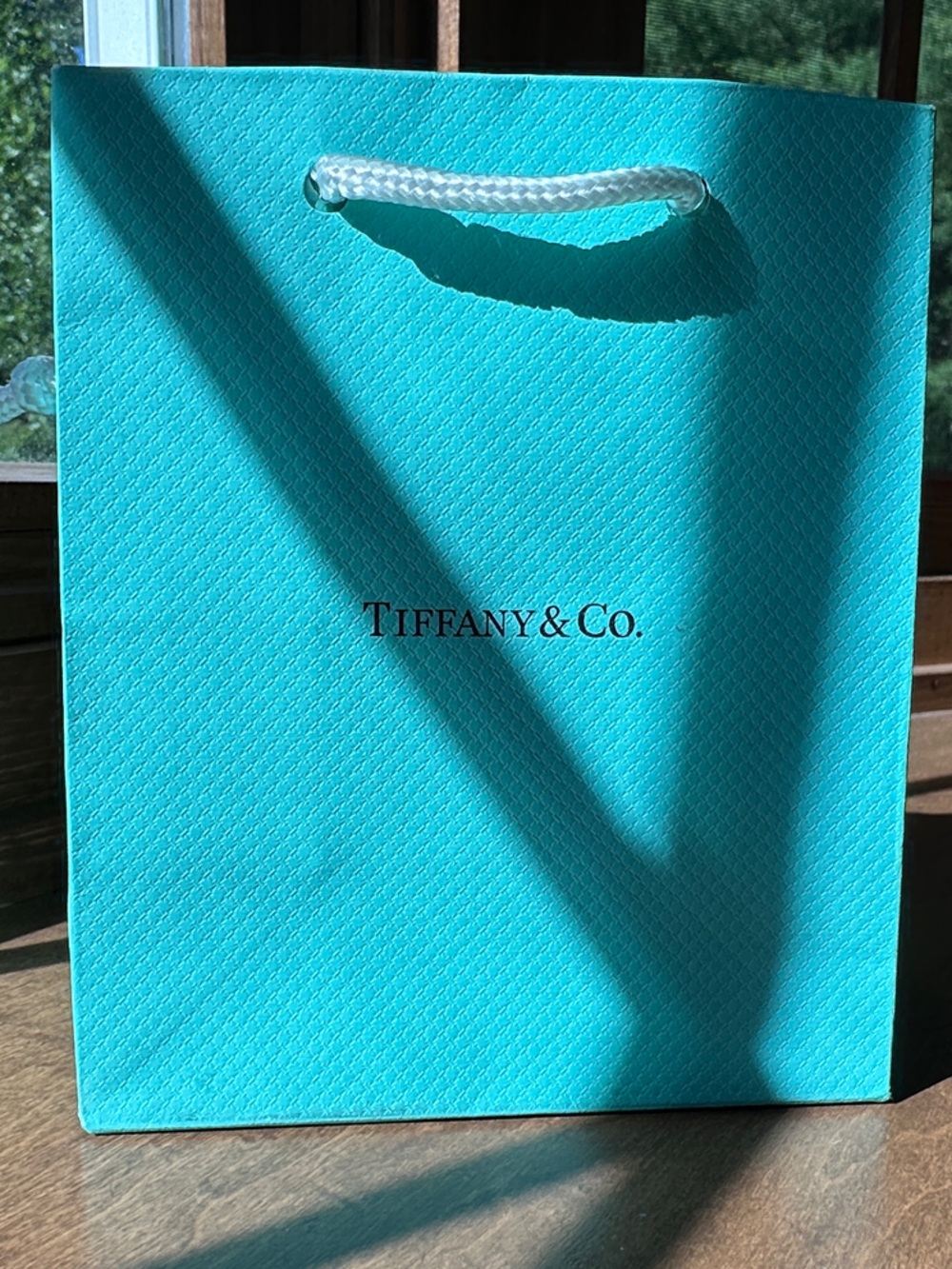 Tiffany & Co. Rope-Handle Gift Bag in Robin's Egg Blue